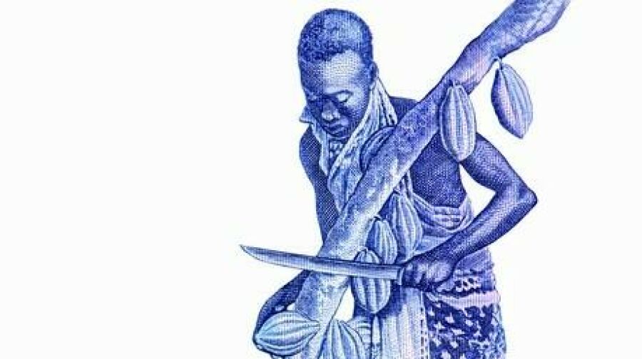 Imagem man-cutting-cocoa-pods-tree-260nw-1823368190